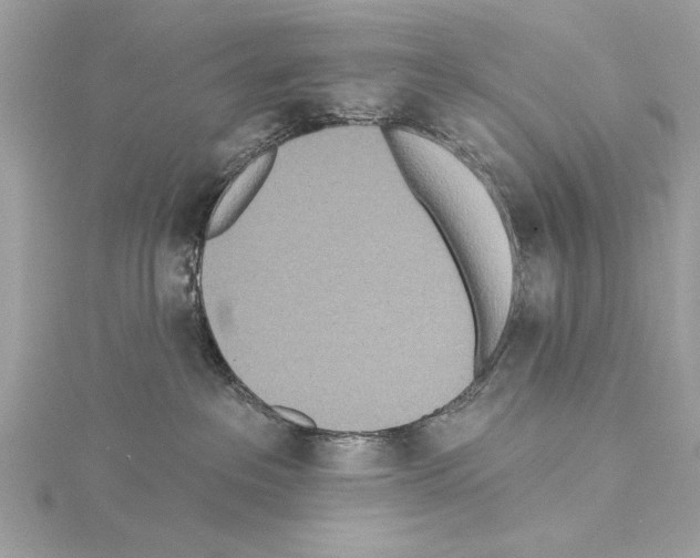 X0000114490237200911301113