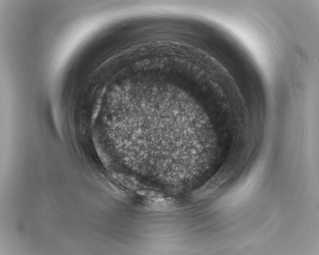 X0000114490239200911301113