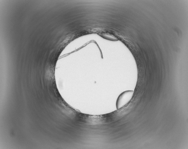 X0000114490240200911301113