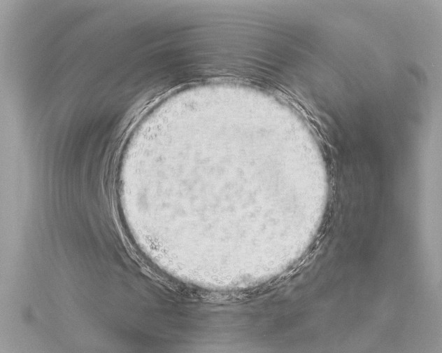 X0000114490241200911301112