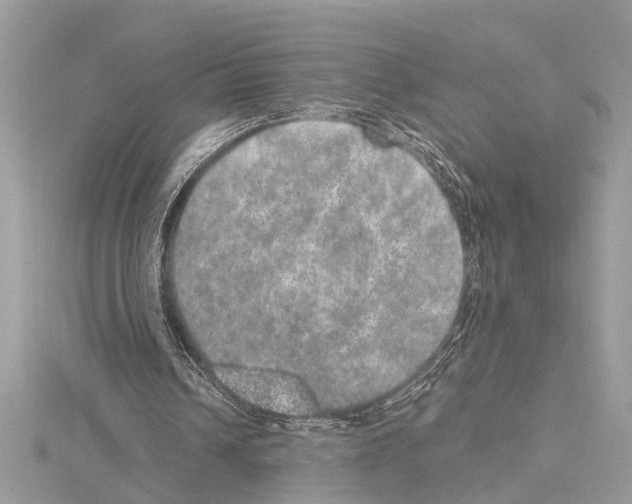 X0000114490242200911301112