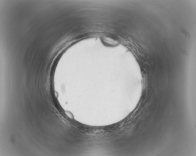 X0000114490243200911301112