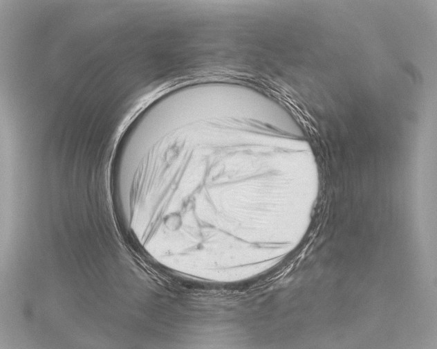 X0000114490244200911301112