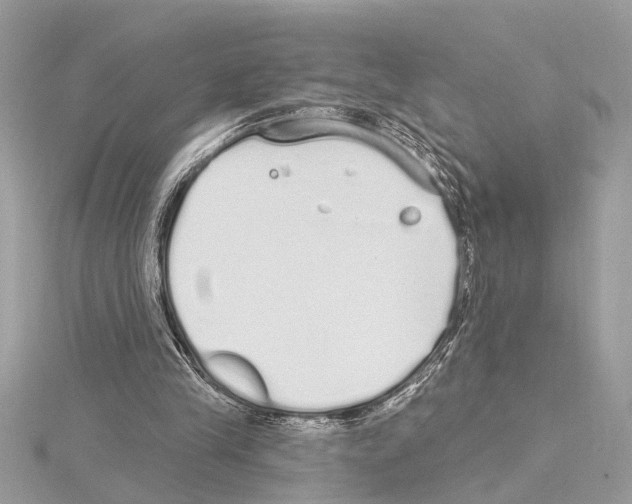 X0000114490245200911301112