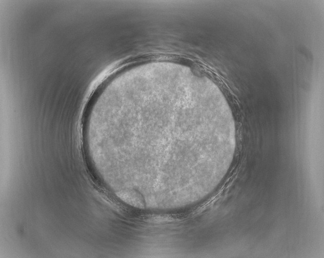 X0000114490246200911301112