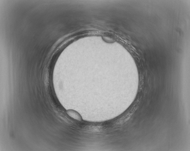 X0000114490247200911301112