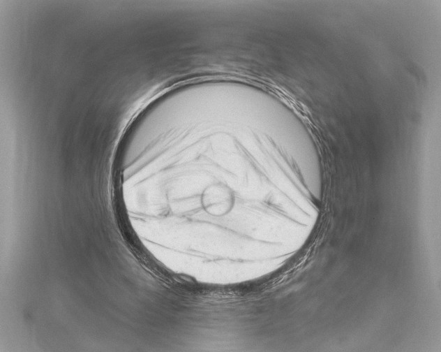 X0000114490248200911301112