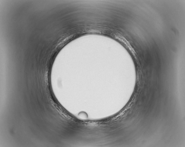 X0000114490249200911301112