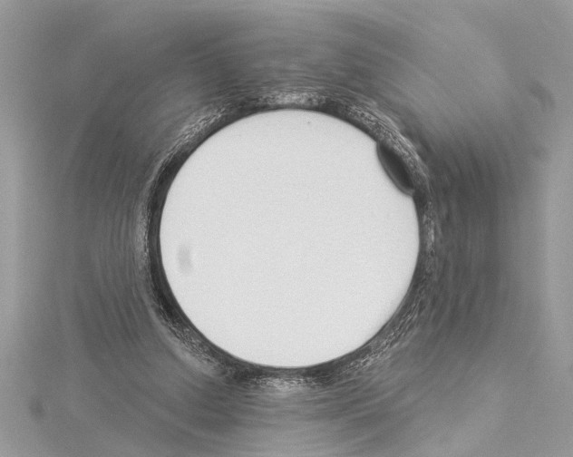 X0000114490250200911301112