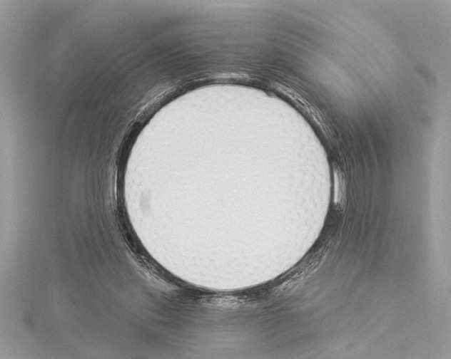 X0000114490253200911301112