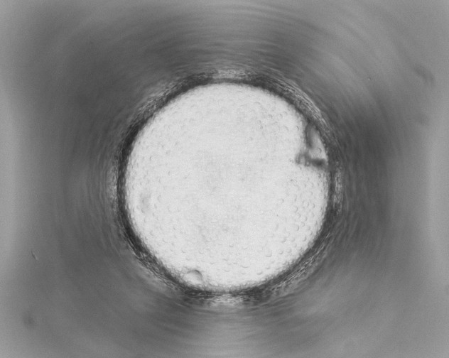 X0000114490257200911301112