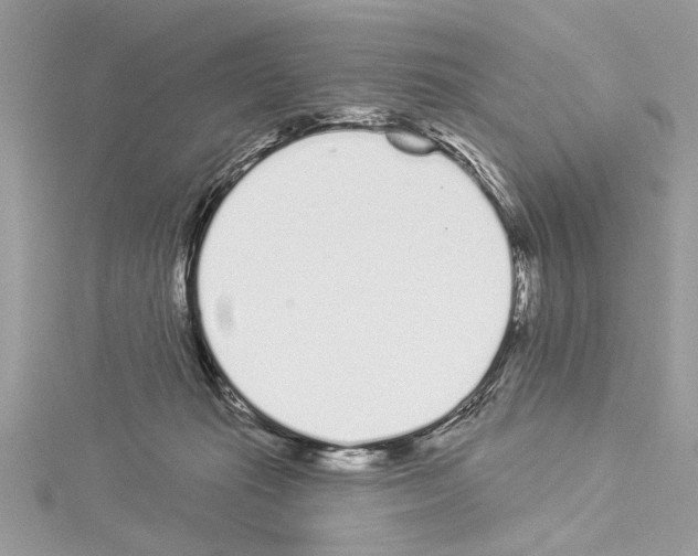 X0000114490269200911301112