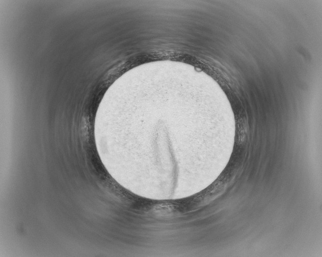 X0000114490279200911301112