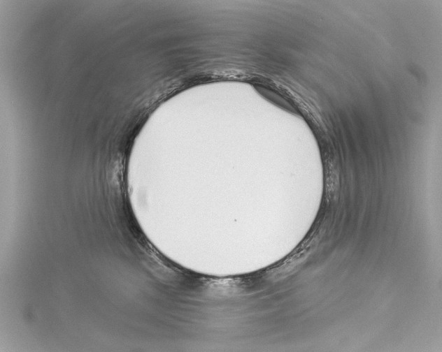 X0000114490281200911301112