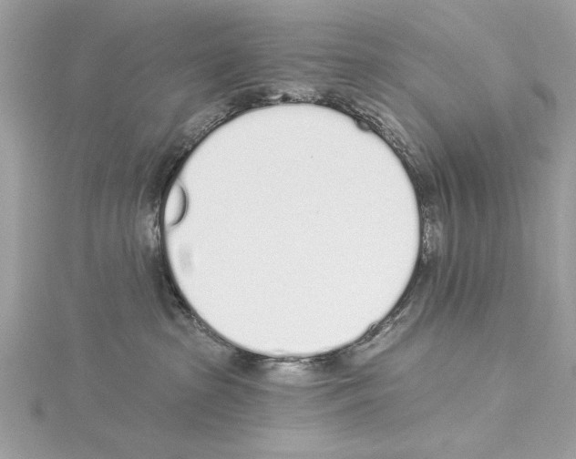 X0000114490285200911301112