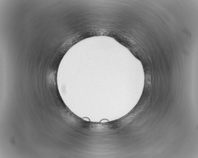 X0000114490286200911301112