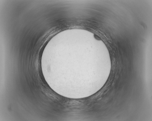 X0000114490290200911301112