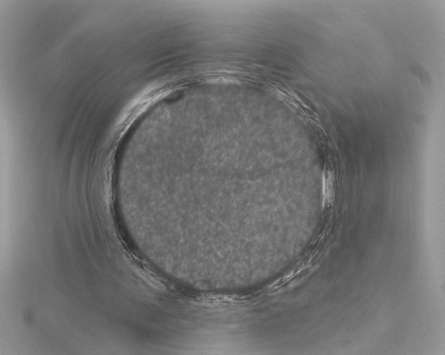 X0000114490291200911301112