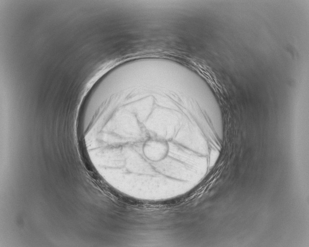 X0000114490292200911301112