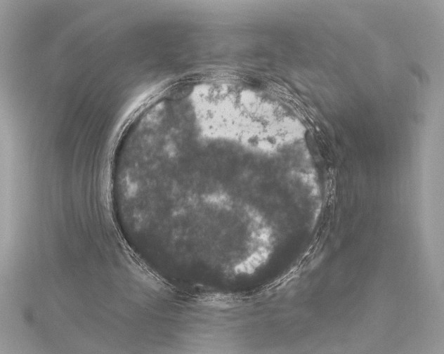 X0000114490293200911301112