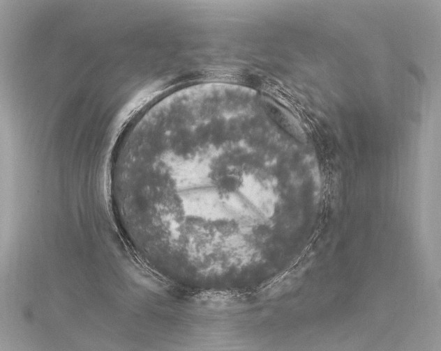 X0000114490294200911301112