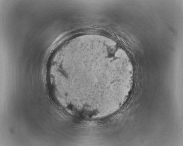 X0000114490295200911301112