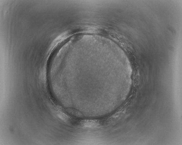 X0000114490296200911301111