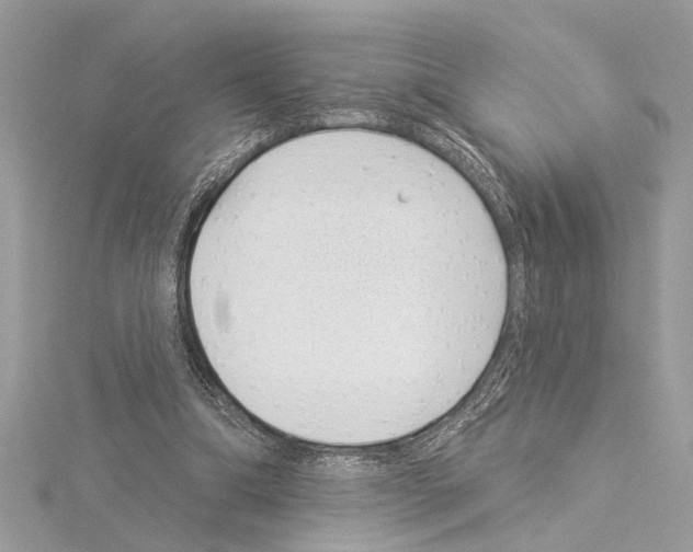 X0000114490298200911301111