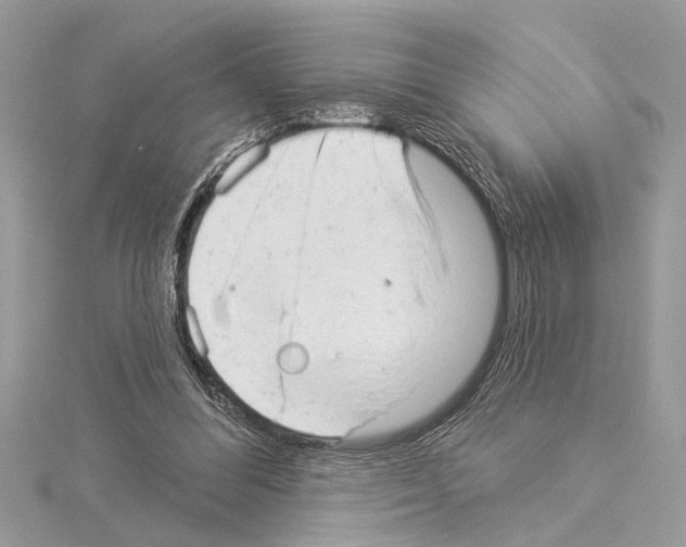 X0000114490300200911301111