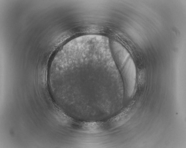 X0000114490301200911301111