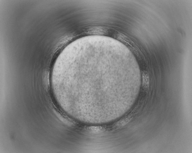 X0000114490302200911301111