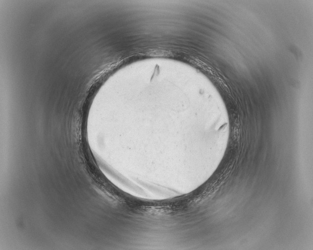 X0000114490303200911301111