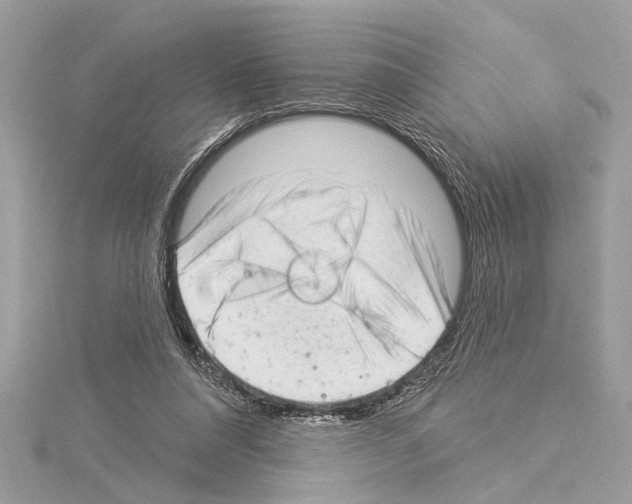 X0000114490304200911301111