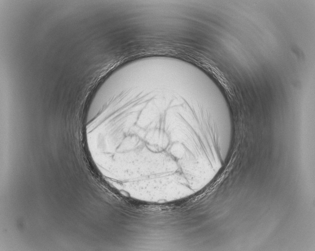 X0000114490305200911301111