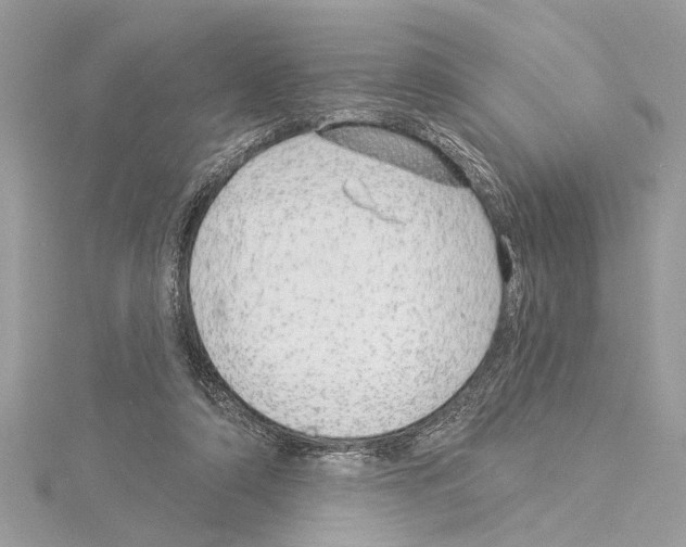 X0000114490306200911301111