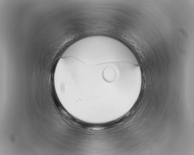 X0000114490308200911301111