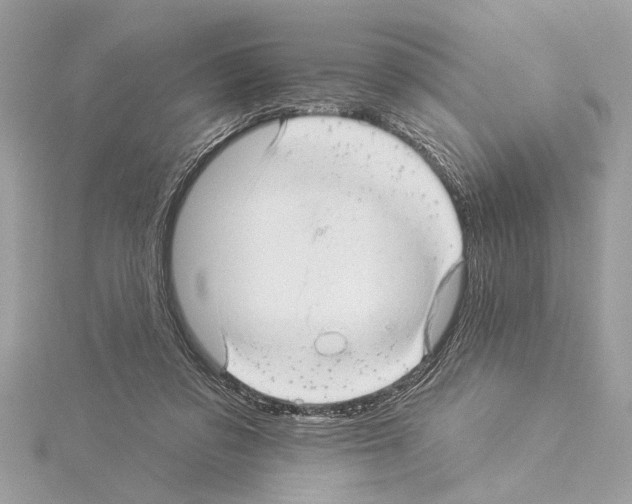 X0000114490309200911301111