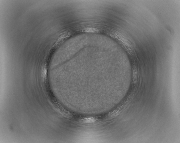 X0000114490310200911301111