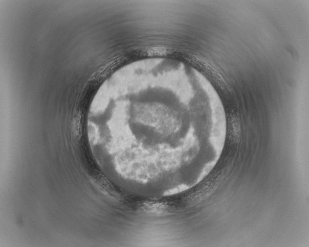 X0000114490311200911301111