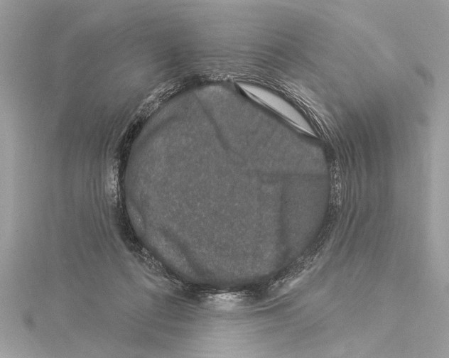 X0000114490312200911301111