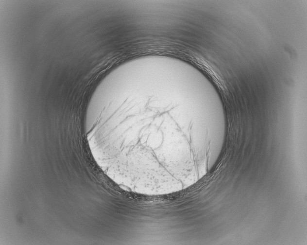 X0000114490313200911301111