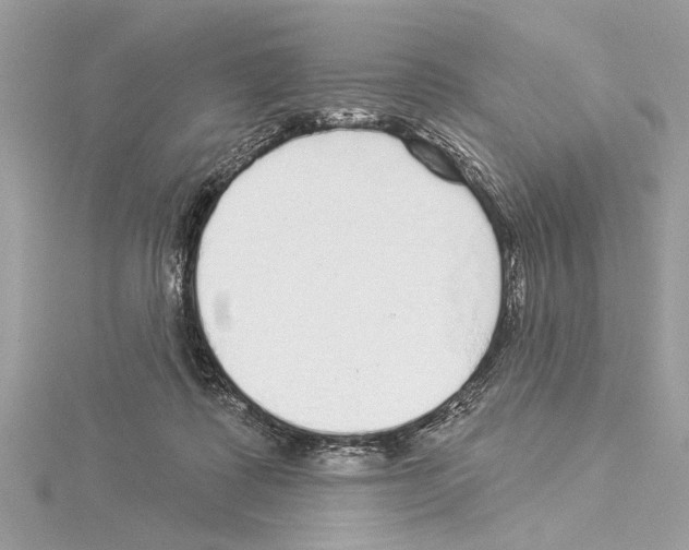 X0000114490315200911301111