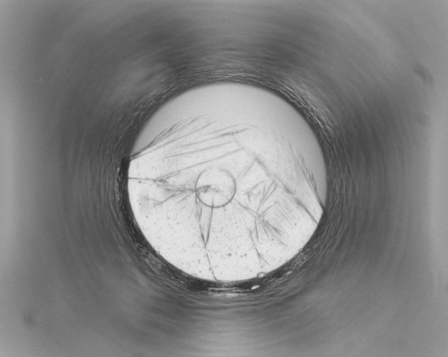 X0000114490316200911301111