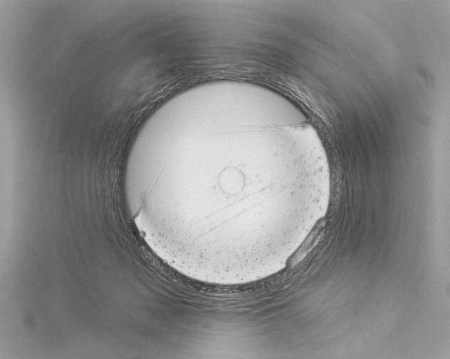 X0000114490317200911301111