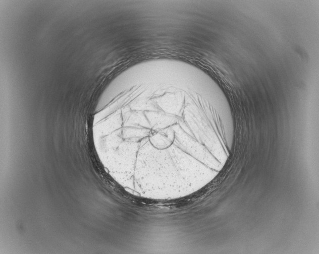 X0000114490320200911301111