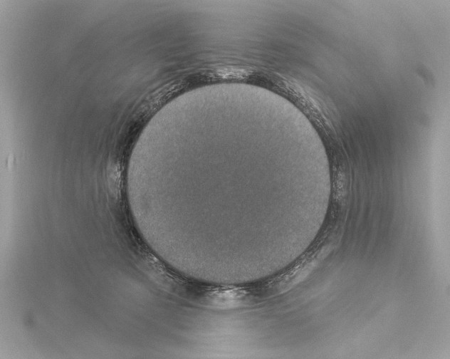 X0000114490321200911301111