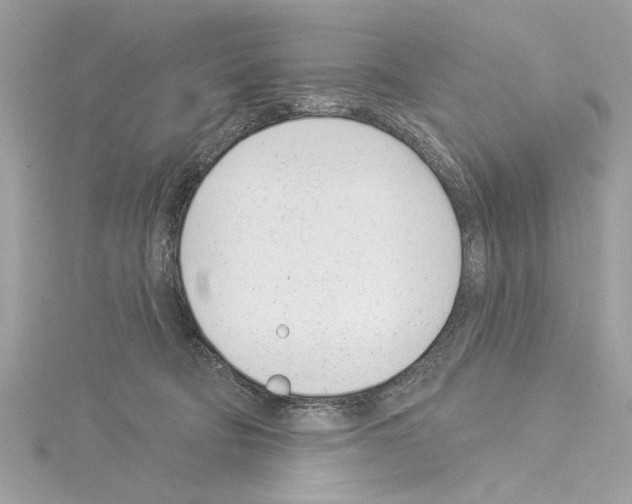 X0000114490322200911301111