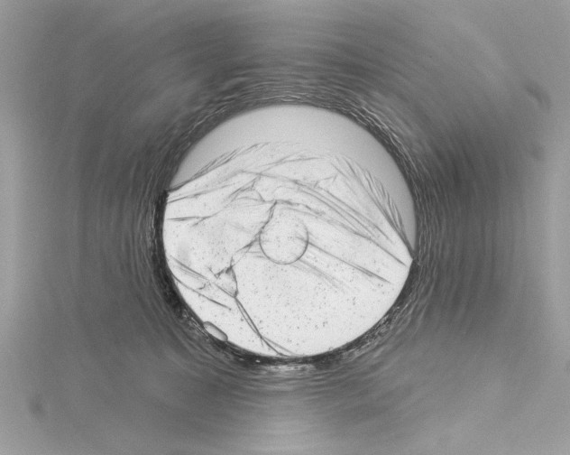 X0000114490323200911301111