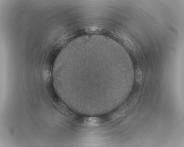 X0000114490324200911301111