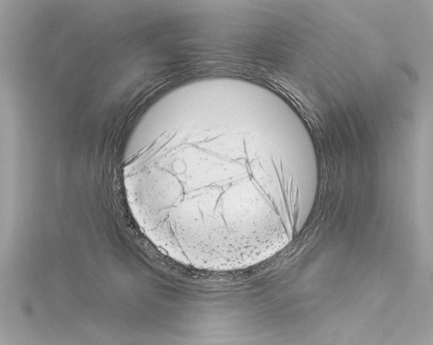 X0000114490325200911301111